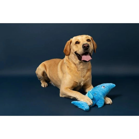 Animal Instincts Sustainables Sea Life Crumpled Shark