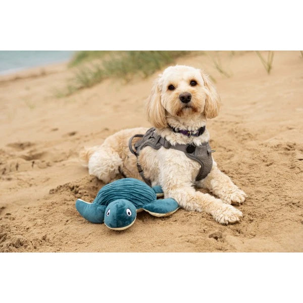 Load image into Gallery viewer, Animal Instincts Sustainables Sea Life Crumpled Sea Turtle
