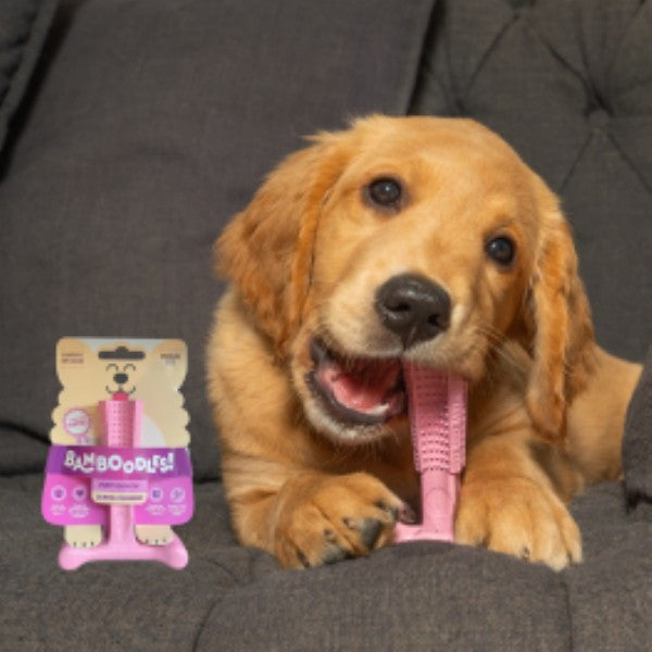 Load image into Gallery viewer, Bamboodles Puppy Salmon &amp; Cranberry Medium
