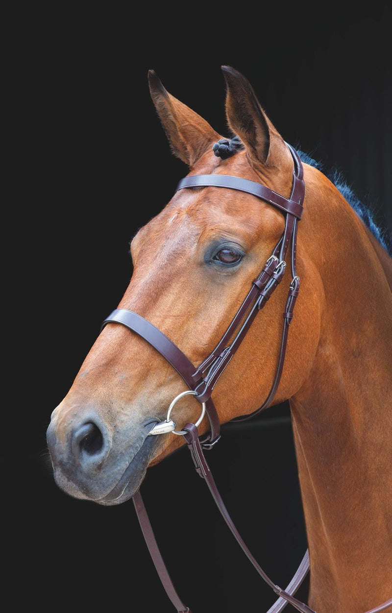 Load image into Gallery viewer, Salisbury Berrington Bridle
