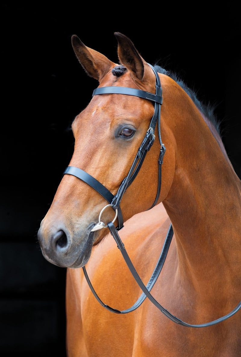 Load image into Gallery viewer, Salisbury Berrington Bridle
