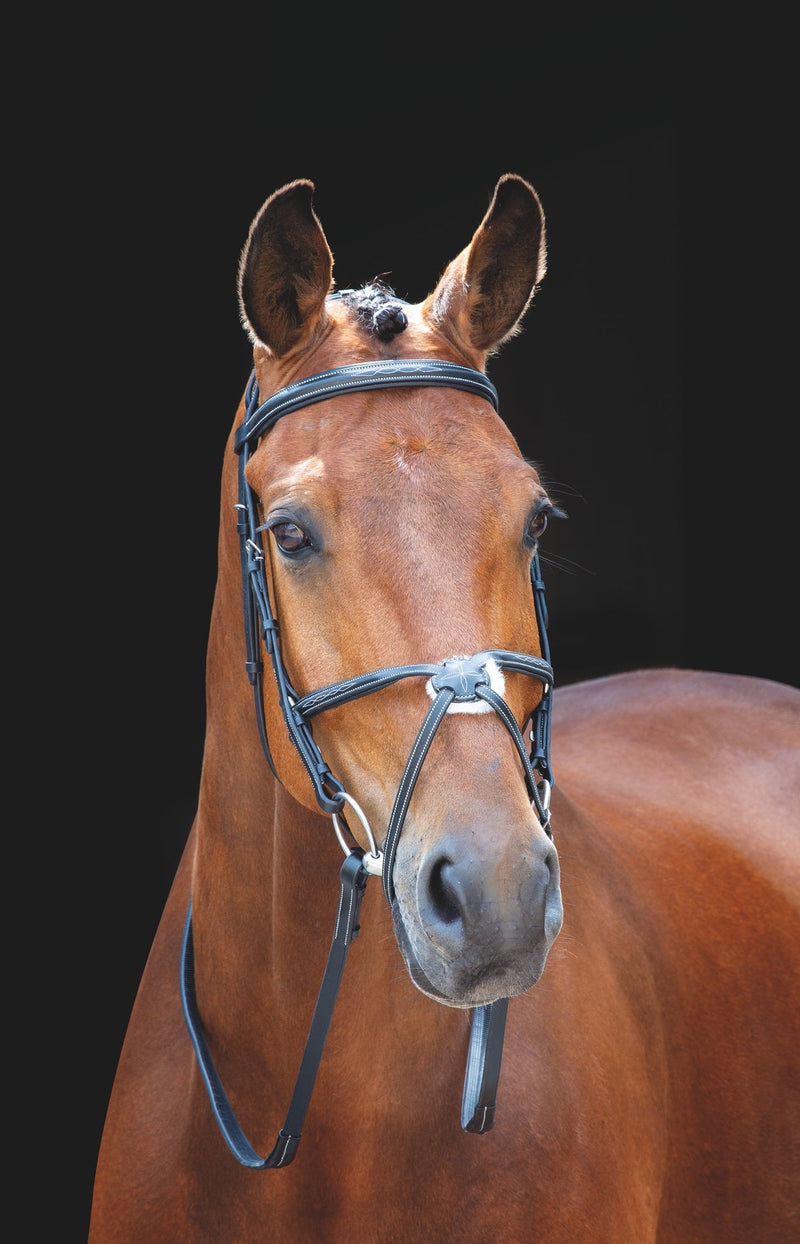 Load image into Gallery viewer, Salisbury Brackley Bridle
