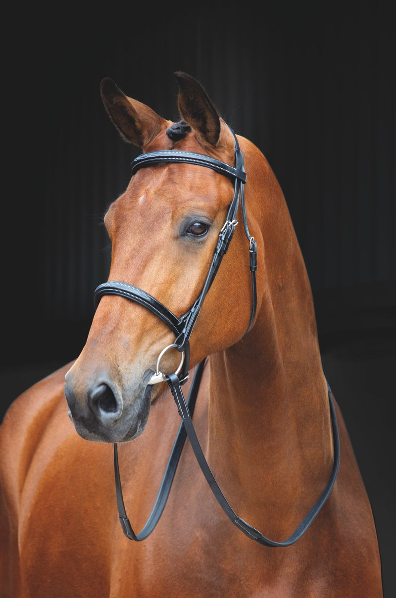 Load image into Gallery viewer, Salisbury Fairford Bridle
