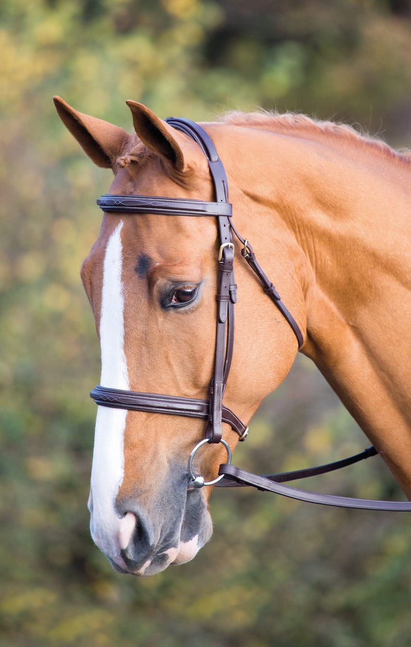 Load image into Gallery viewer, Salisbury Fairford Bridle
