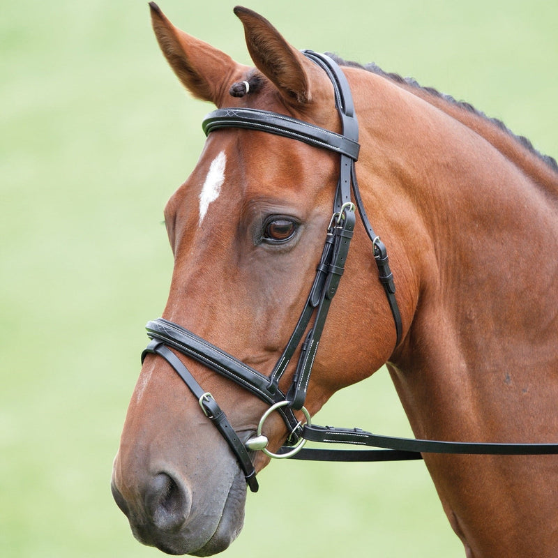 Load image into Gallery viewer, Salisbury Bodenham Bridle
