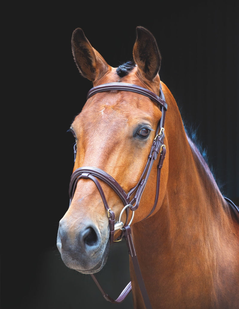 Load image into Gallery viewer, Salisbury Bodenham Bridle

