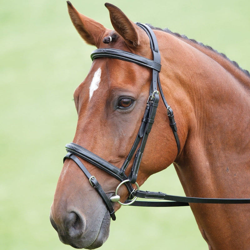 Load image into Gallery viewer, Salisbury Bodenham Bridle
