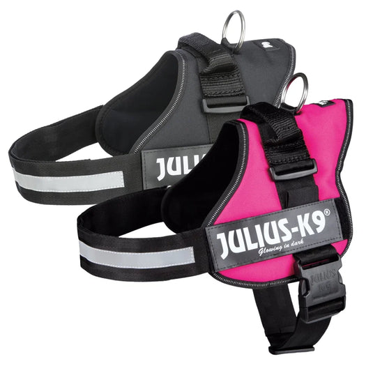 Julius-K9 Powerharness Mini/S 40-53cm Blue