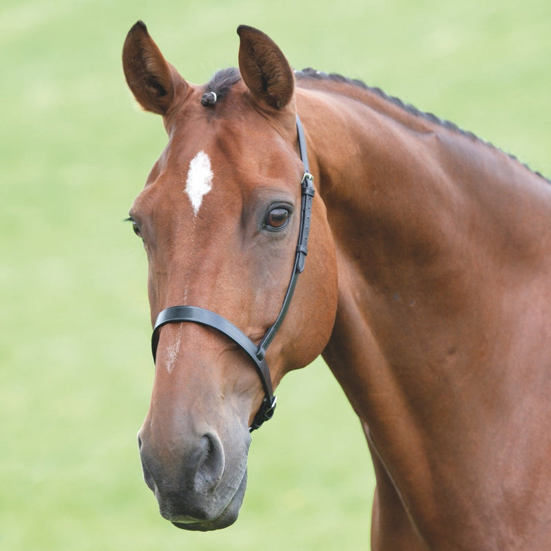 Load image into Gallery viewer, Velociti GARA Cavesson Noseband
