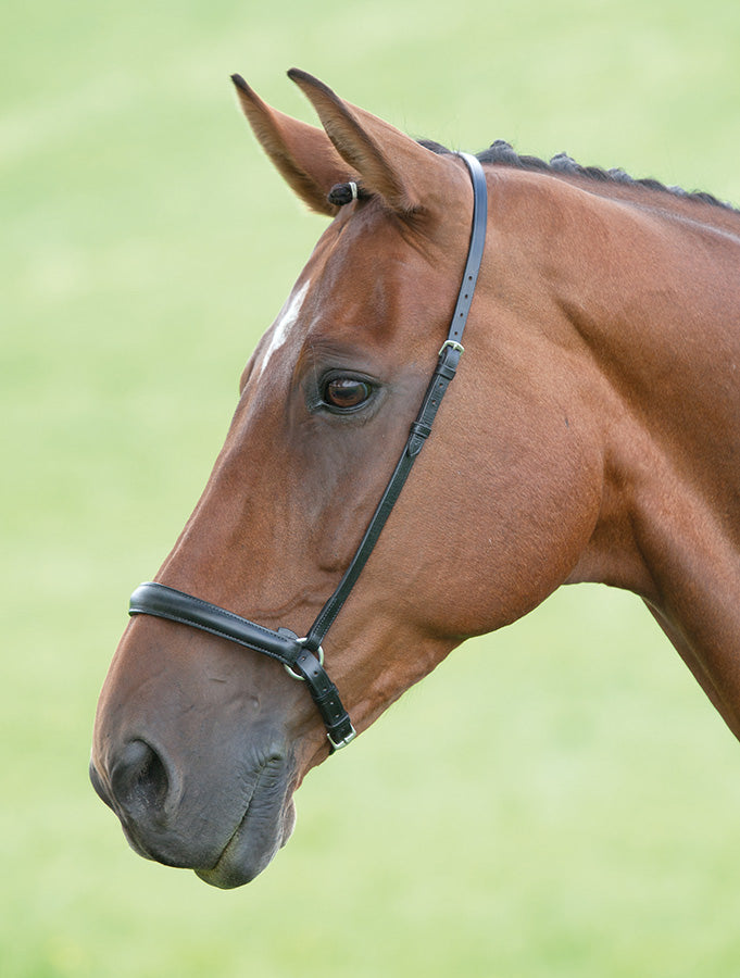 Load image into Gallery viewer, Velociti GARA Drop Noseband
