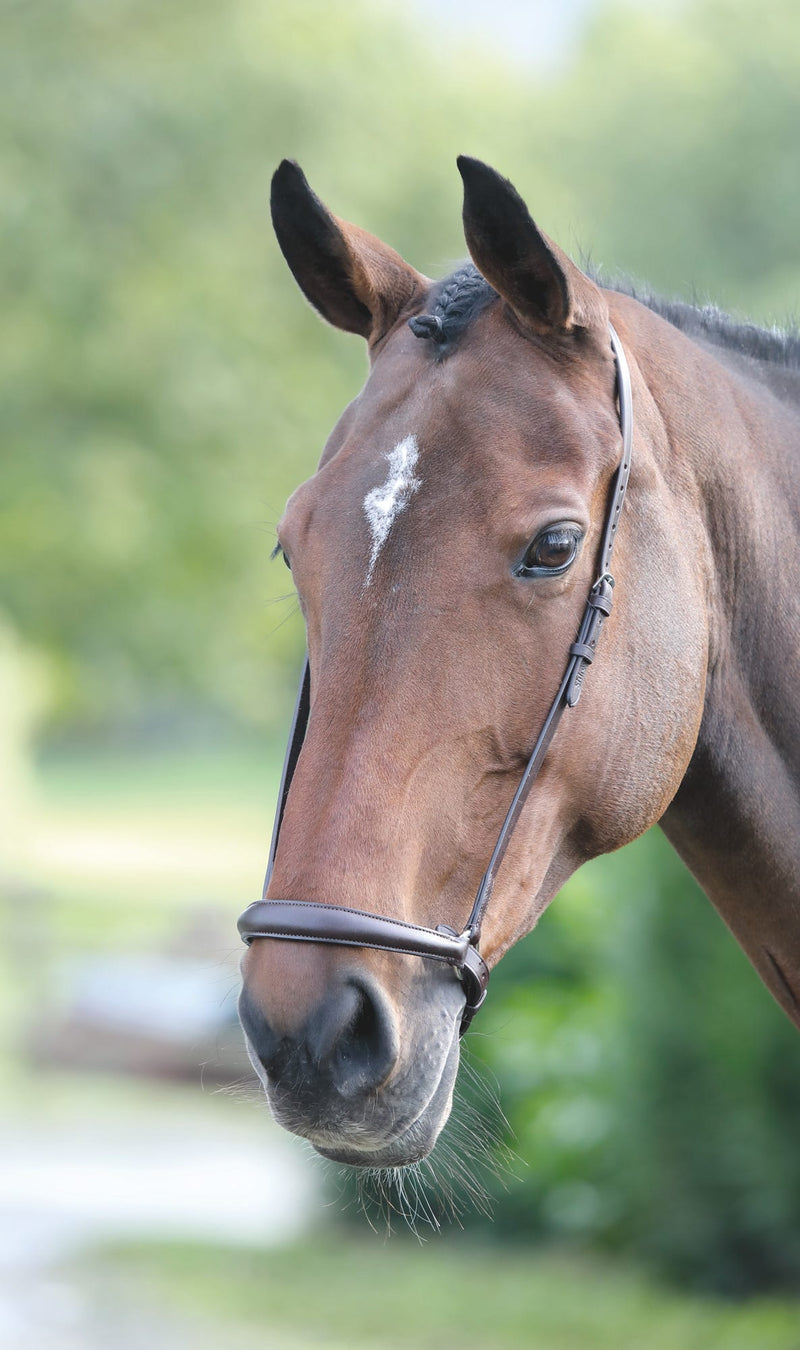 Load image into Gallery viewer, Velociti GARA Drop Noseband
