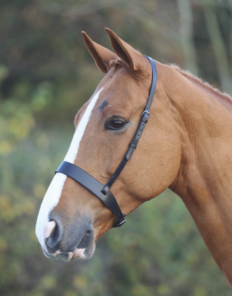 Load image into Gallery viewer, Velociti GARA Hunter Cavesson Noseband
