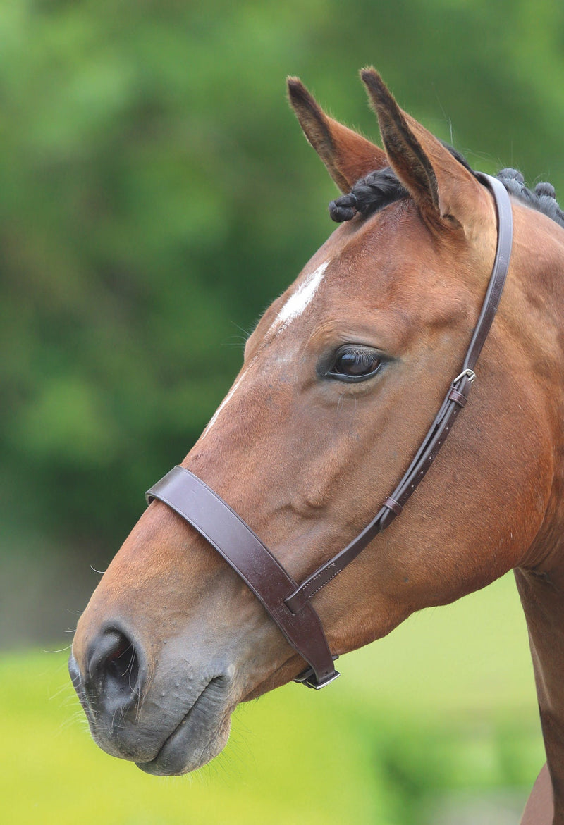 Load image into Gallery viewer, Velociti GARA Hunter Cavesson Noseband
