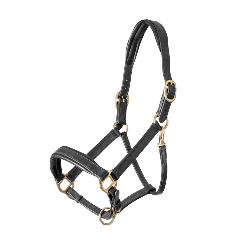 Load image into Gallery viewer, Velociti GARA Leather Travel Headcollar
