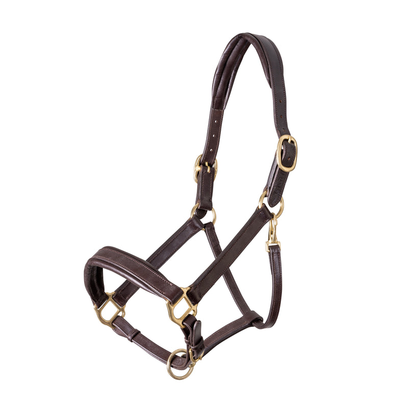 Load image into Gallery viewer, Velociti GARA Leather Travel Headcollar
