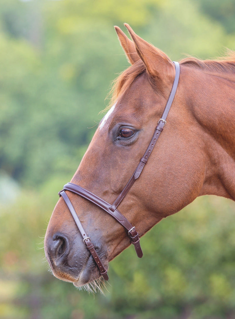 Load image into Gallery viewer, Velociti GARA Flash Noseband
