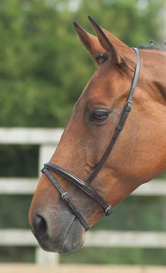 Load image into Gallery viewer, Velociti GARA Flash Noseband
