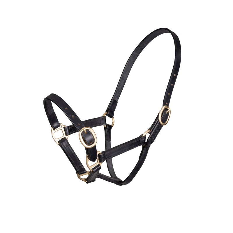 Load image into Gallery viewer, Velociti GARA Adjustable Leather Headcollar
