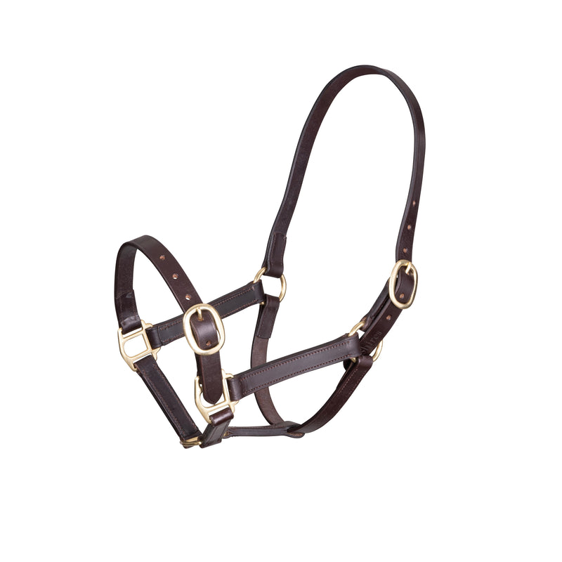 Load image into Gallery viewer, Velociti GARA Adjustable Leather Headcollar
