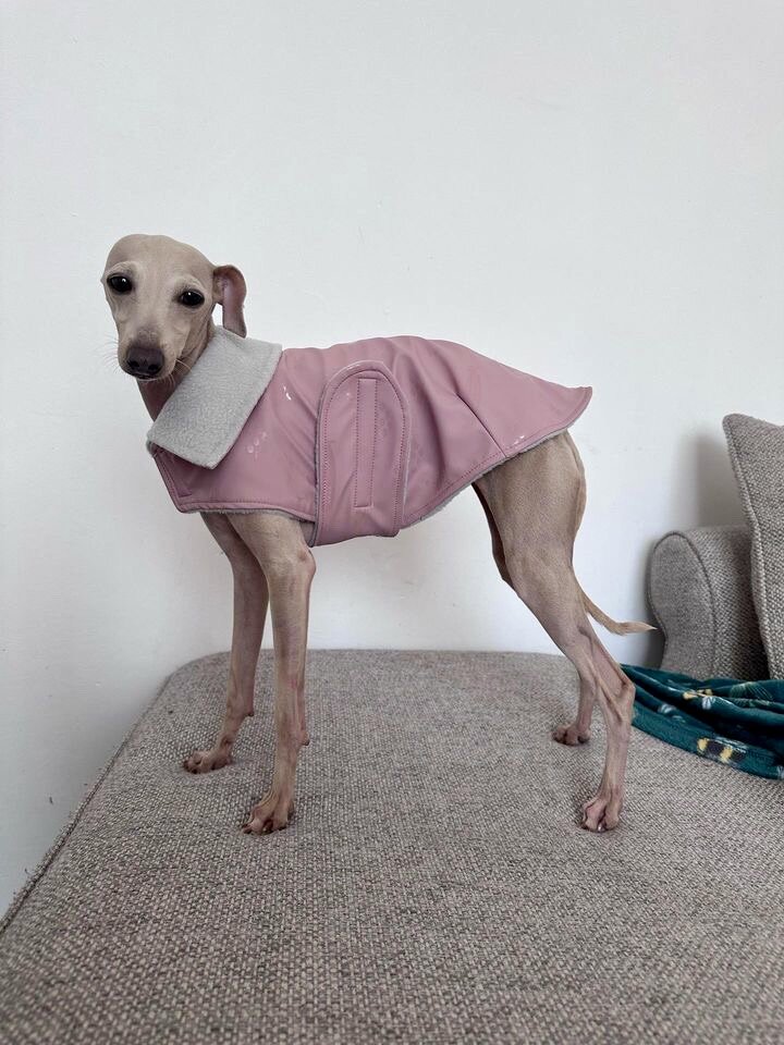 Load image into Gallery viewer, Rain Mac - Blush Pink Submarines
