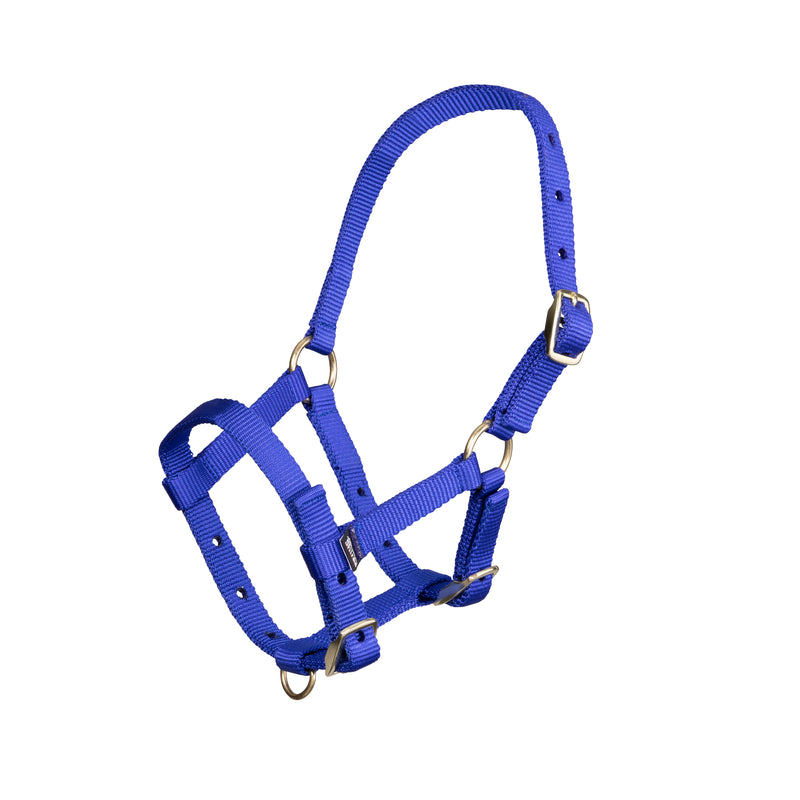 Load image into Gallery viewer, ARMA Foal Headcollar
