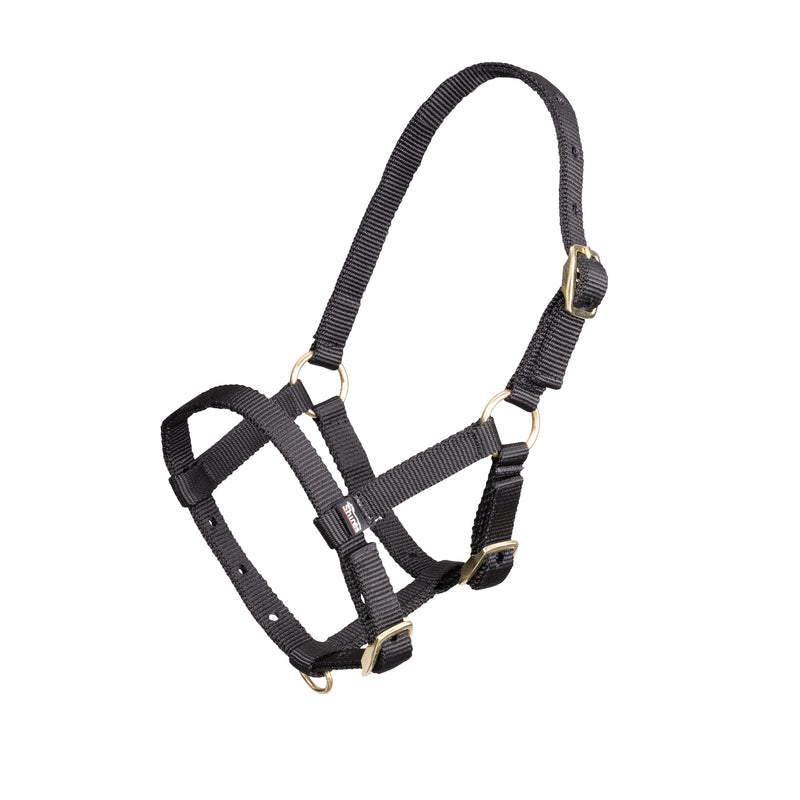 Load image into Gallery viewer, ARMA Foal Headcollar
