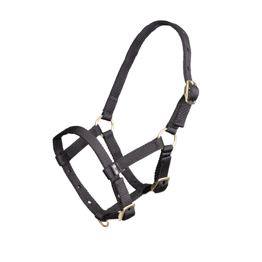 ARMA Foal Headcollar