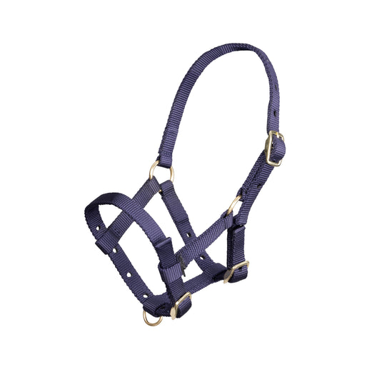 ARMA Foal Headcollar