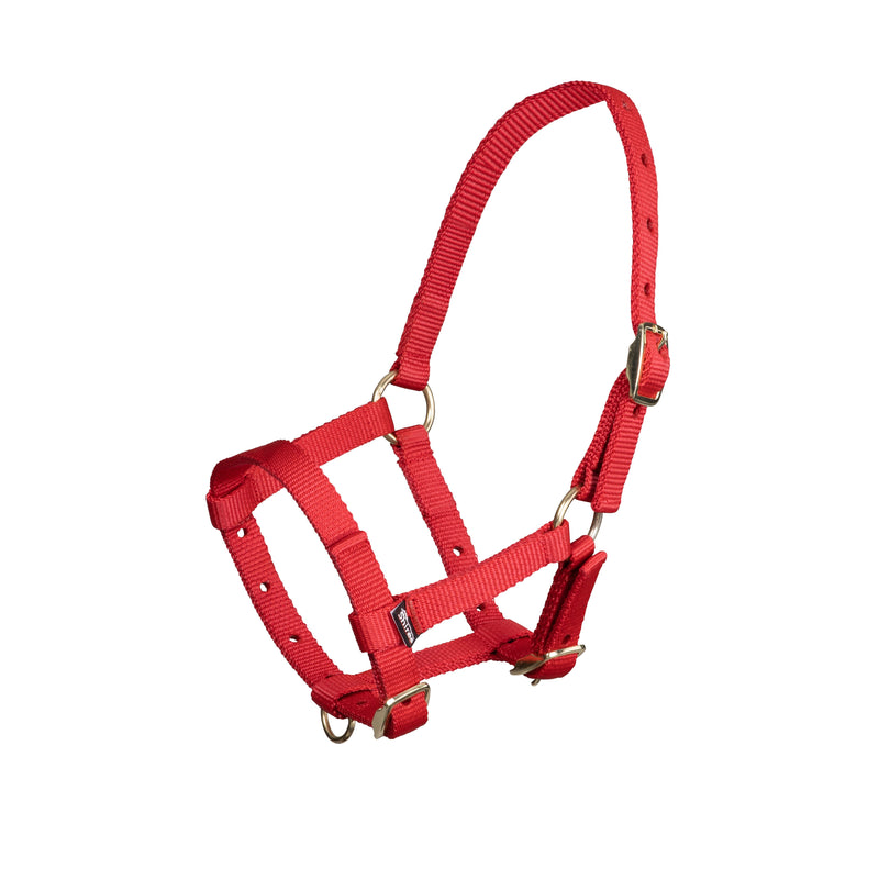 Load image into Gallery viewer, ARMA Foal Headcollar
