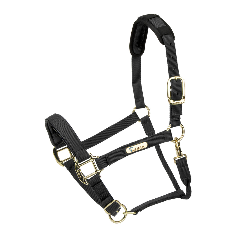Load image into Gallery viewer, Topaz Nylon Headcollar
