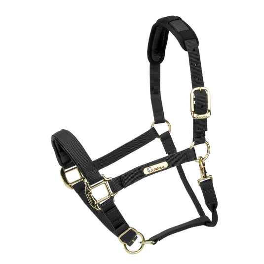 Topaz Nylon Headcollar