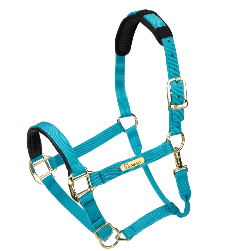 Load image into Gallery viewer, Topaz Nylon Headcollar
