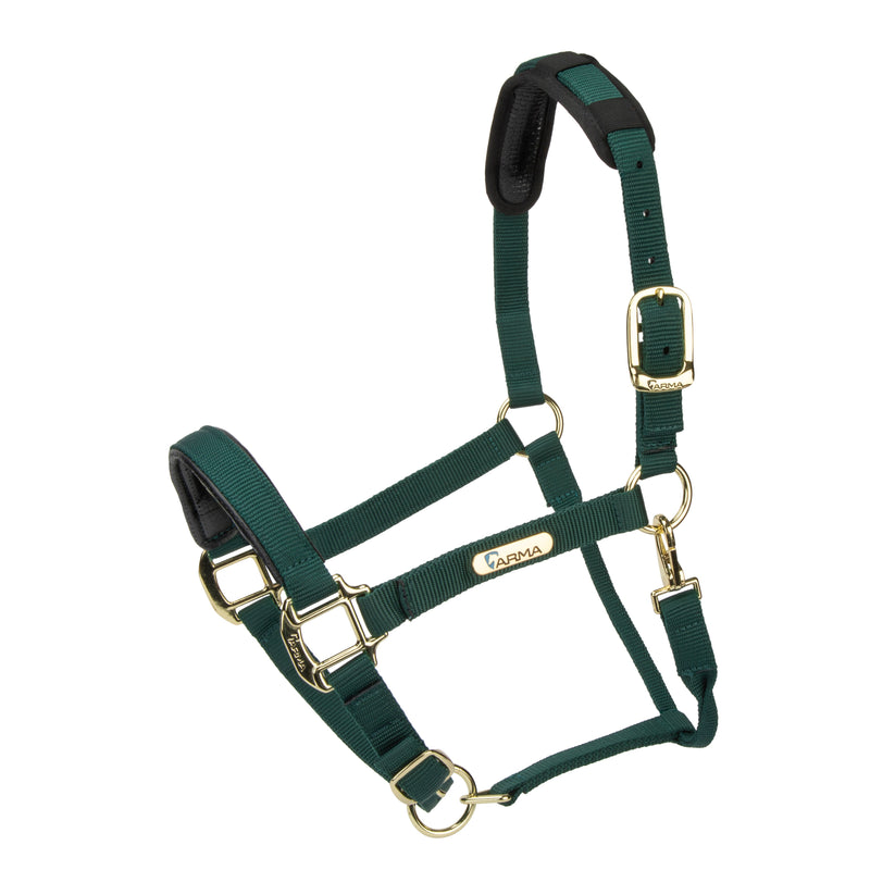 Load image into Gallery viewer, Topaz Nylon Headcollar
