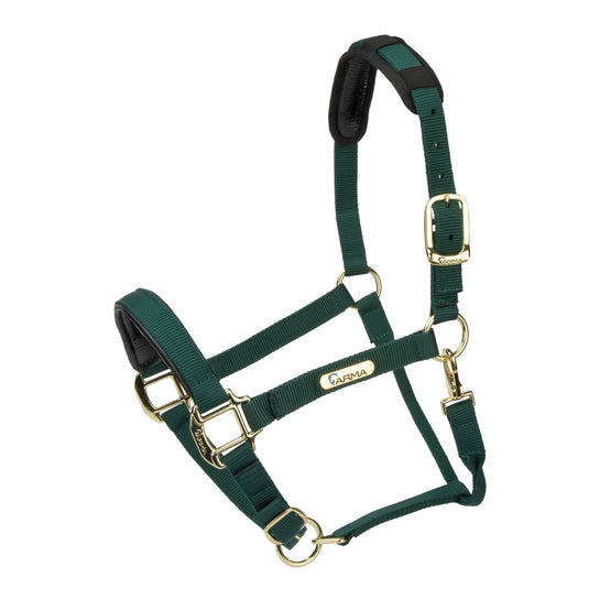 Topaz Nylon Headcollar