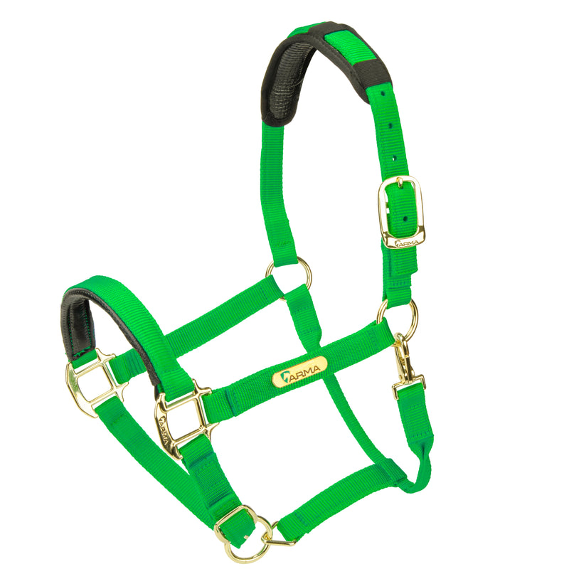 Load image into Gallery viewer, Topaz Nylon Headcollar
