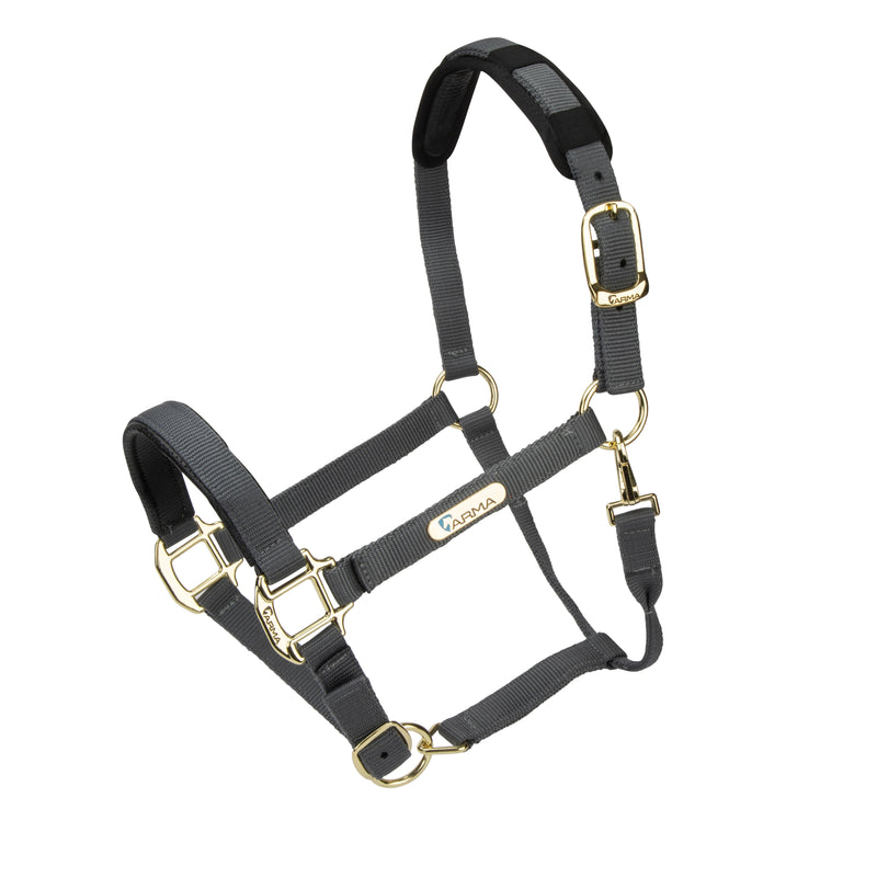 Load image into Gallery viewer, Topaz Nylon Headcollar

