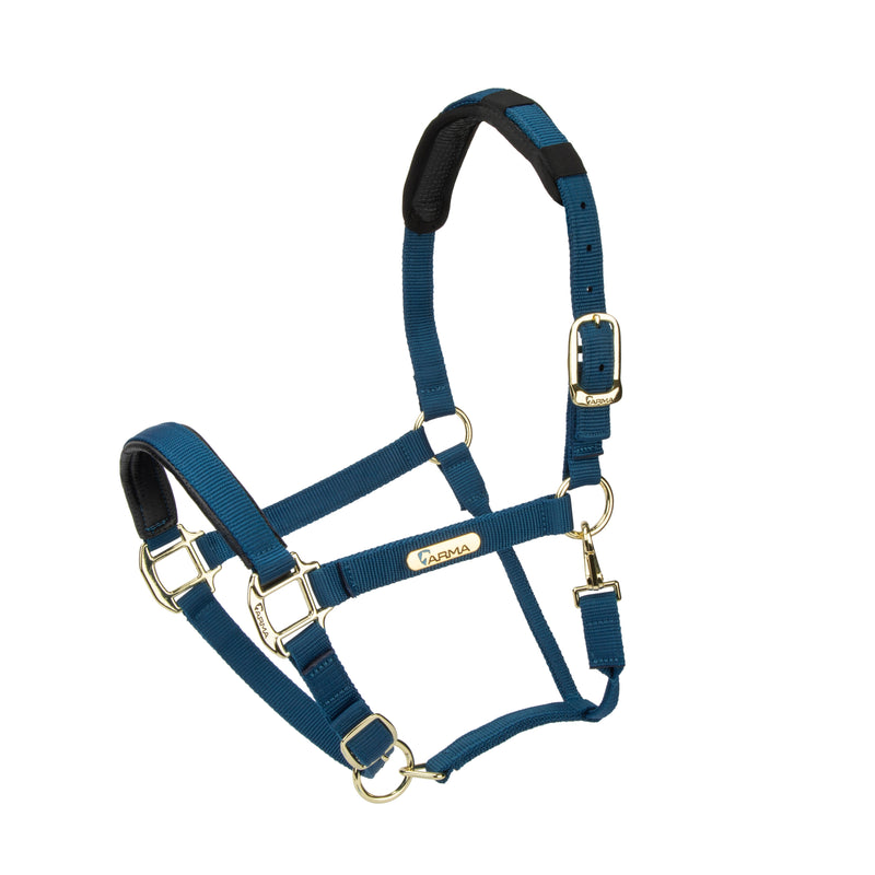 Load image into Gallery viewer, Topaz Nylon Headcollar
