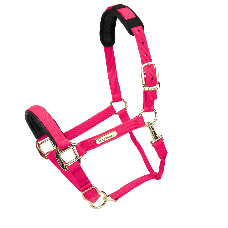 Load image into Gallery viewer, Topaz Nylon Headcollar
