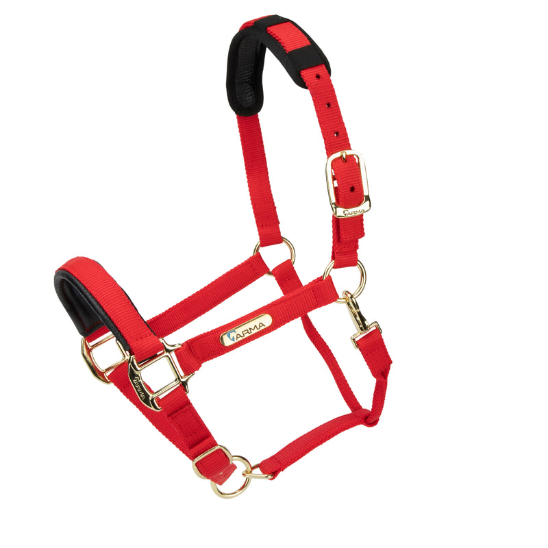 Load image into Gallery viewer, Topaz Nylon Headcollar
