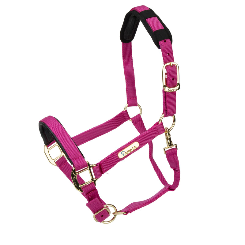 Load image into Gallery viewer, Topaz Nylon Headcollar

