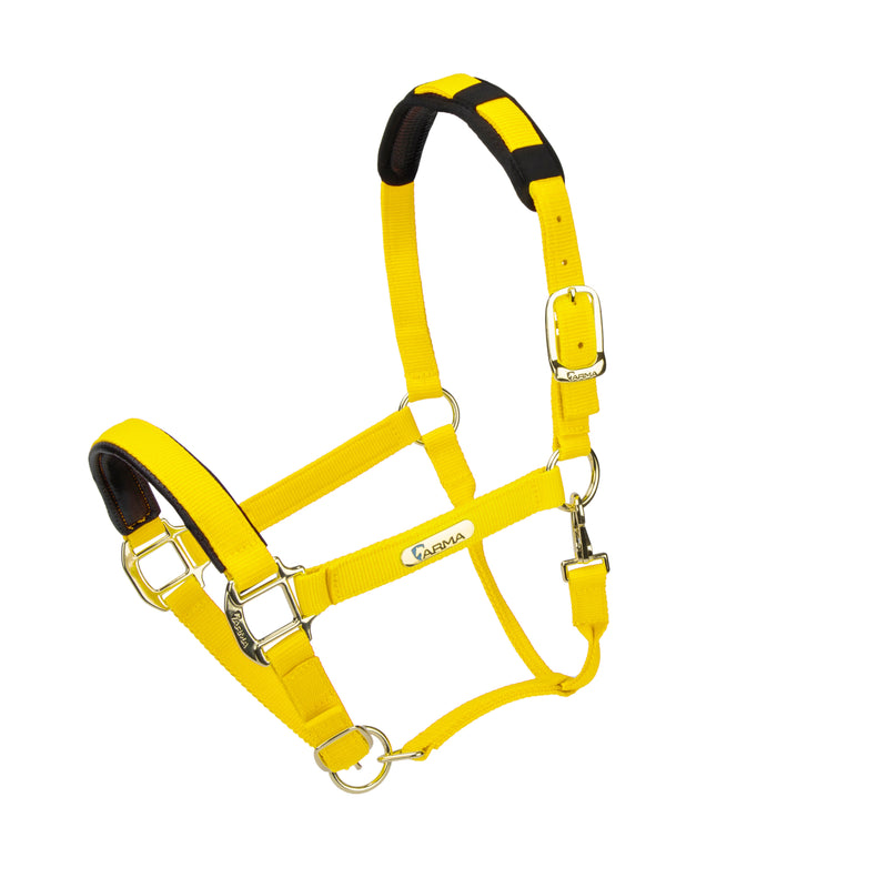 Load image into Gallery viewer, Topaz Nylon Headcollar

