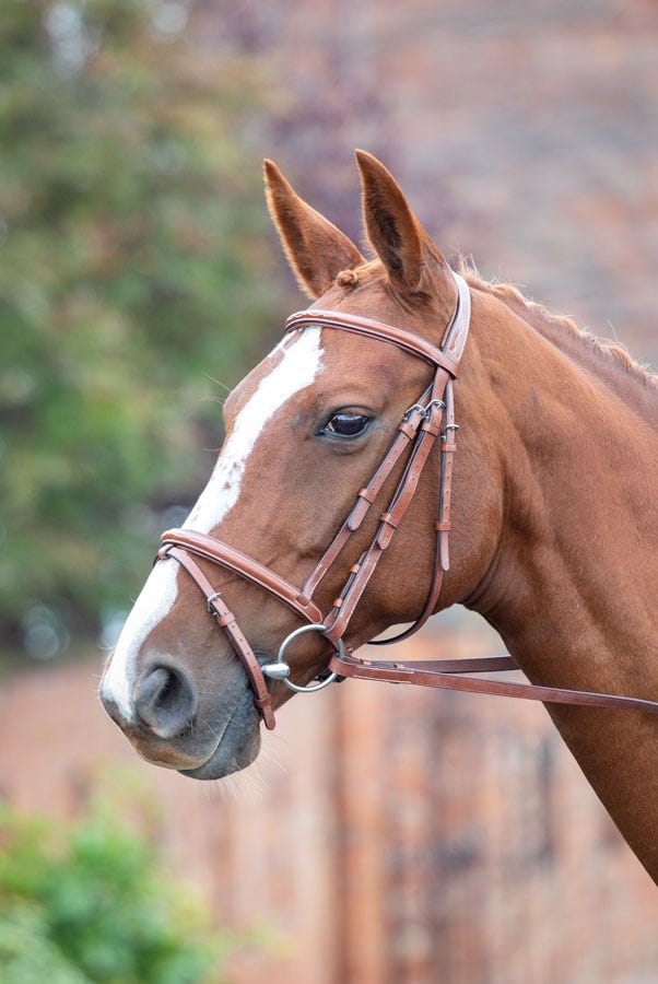 Load image into Gallery viewer, Avignon Padded Raised Flash Bridle
