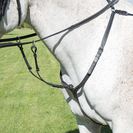 Avignon Breastplate
