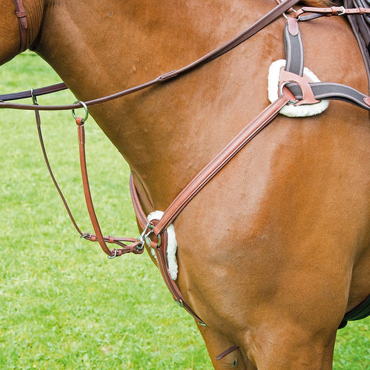 Avignon 5 Point Breastplate