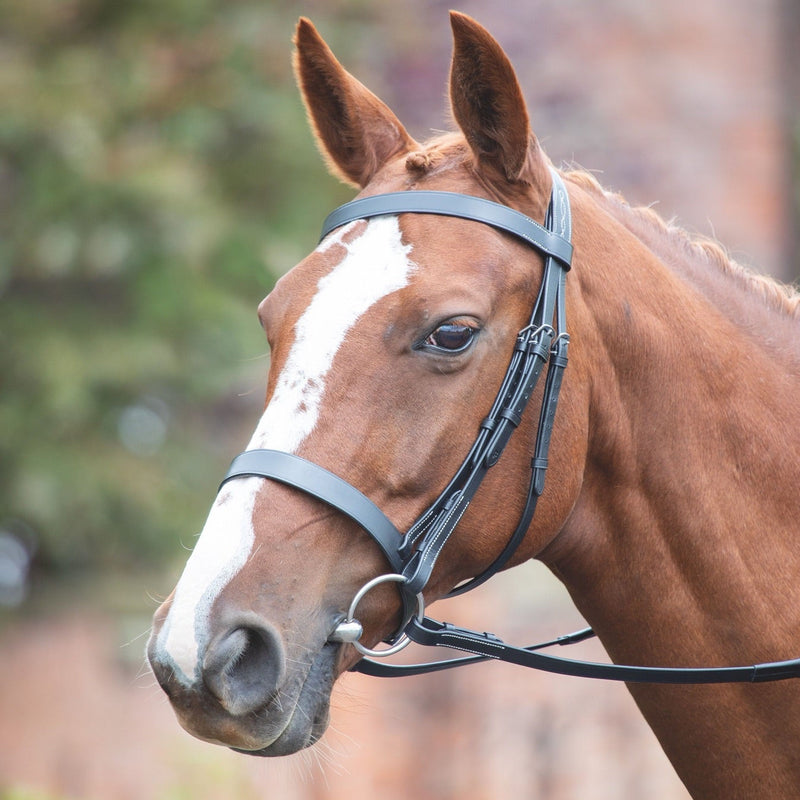 Load image into Gallery viewer, Avignon Hunter Cavesson Bridle

