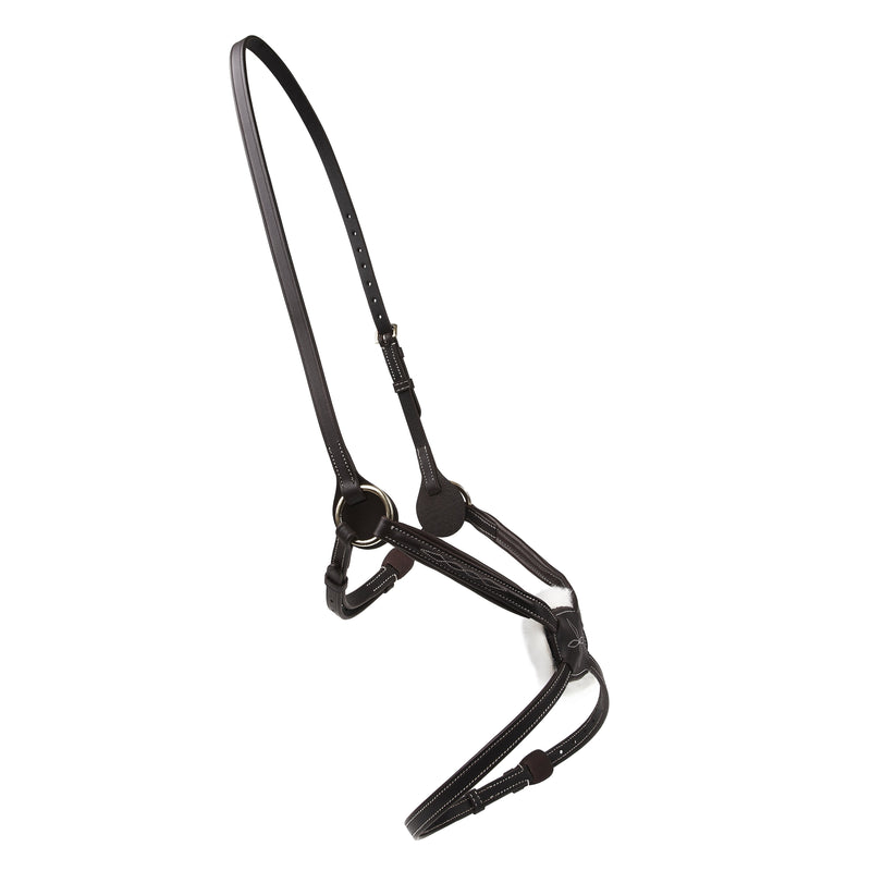 Load image into Gallery viewer, Salisbury Brackley Noseband
