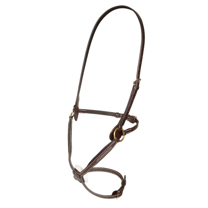 Load image into Gallery viewer, Salisbury Brackley Noseband
