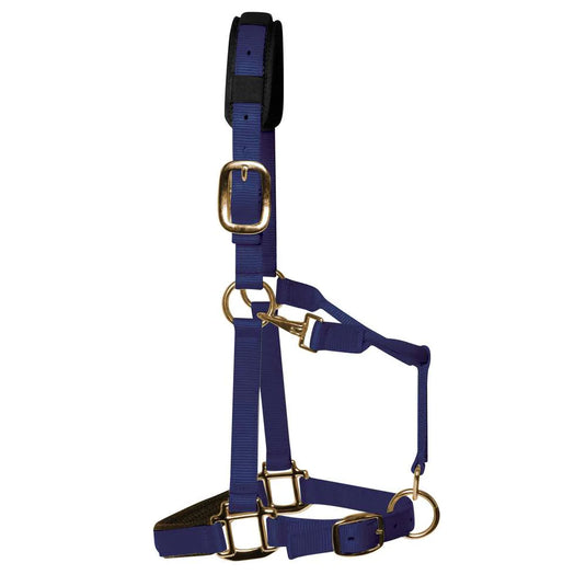 KM Elite Head Collar