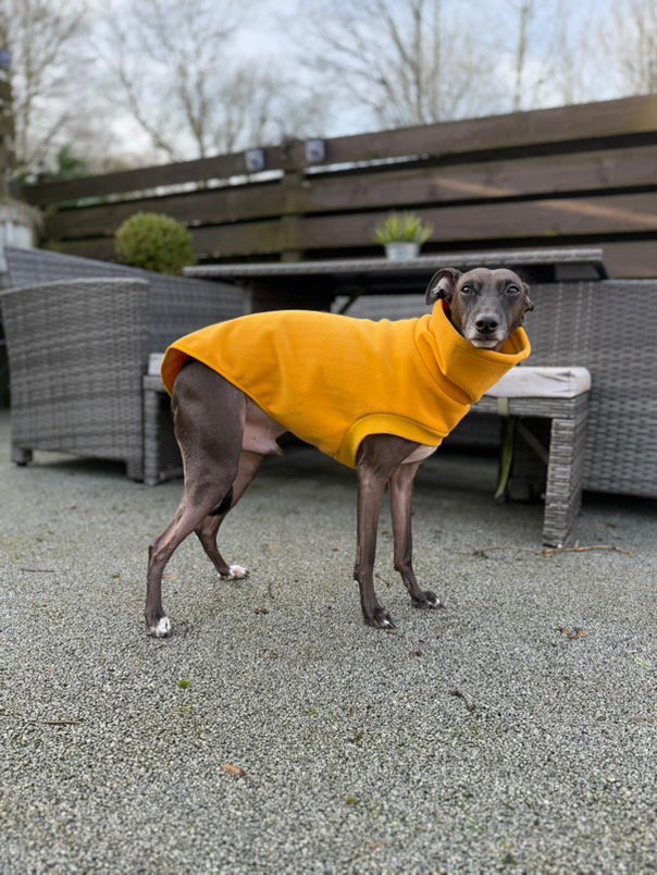 Load image into Gallery viewer, Open-Leg Fleece Vest - Yellow
