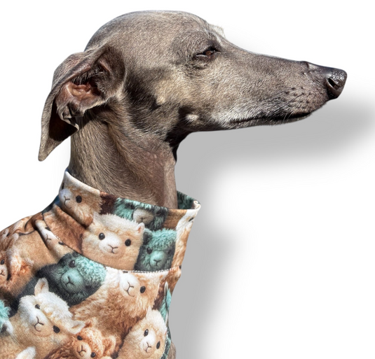 Jersey Vest - Blue Dinos
